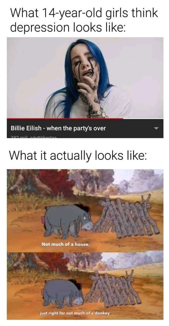 billie eilish memes, Billie eilish mirror memes, Billie Eilish masturbation, Billie Eilish funny memes, Billie Eilish jokes, Billie Eilish humor