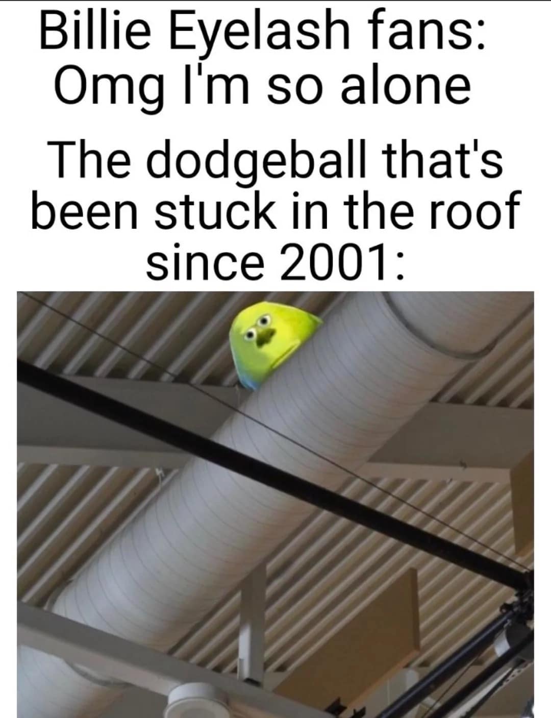 billie eilish memes, Billie eilish mirror memes, Billie Eilish masturbation, Billie Eilish funny memes, Billie Eilish jokes, Billie Eilish humor