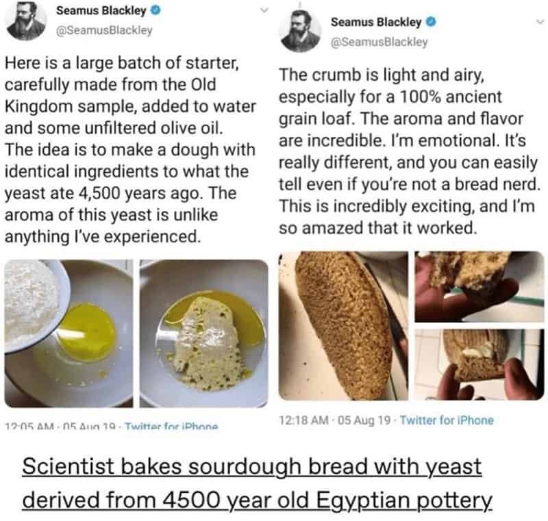 bread memes, baking memes, baking humor, hilarious baking moment