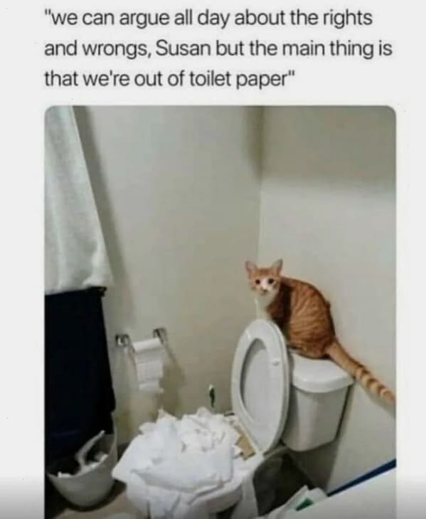 cat memes, funny cat pictures, hilarious cat pictures, funny cat photos