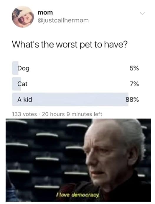 What's the worst pet to have? Dog Cat A kid 133 votes • 20 hours 9 minutes left 5% 7% 88%