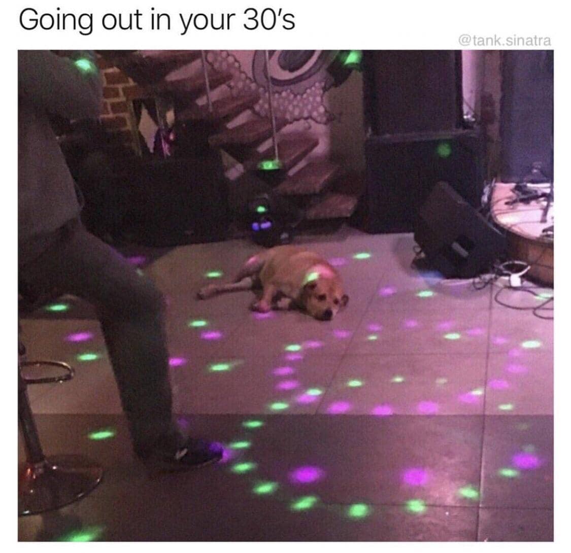 classic memes, vintage memes, viral tweets, best memes, trending tweets, old memes, Viral content, internet trends, online phenomena, Funny tweets, humorous tweets, hilarious Twitter posts, Meme history, internet meme evolution, history of memes