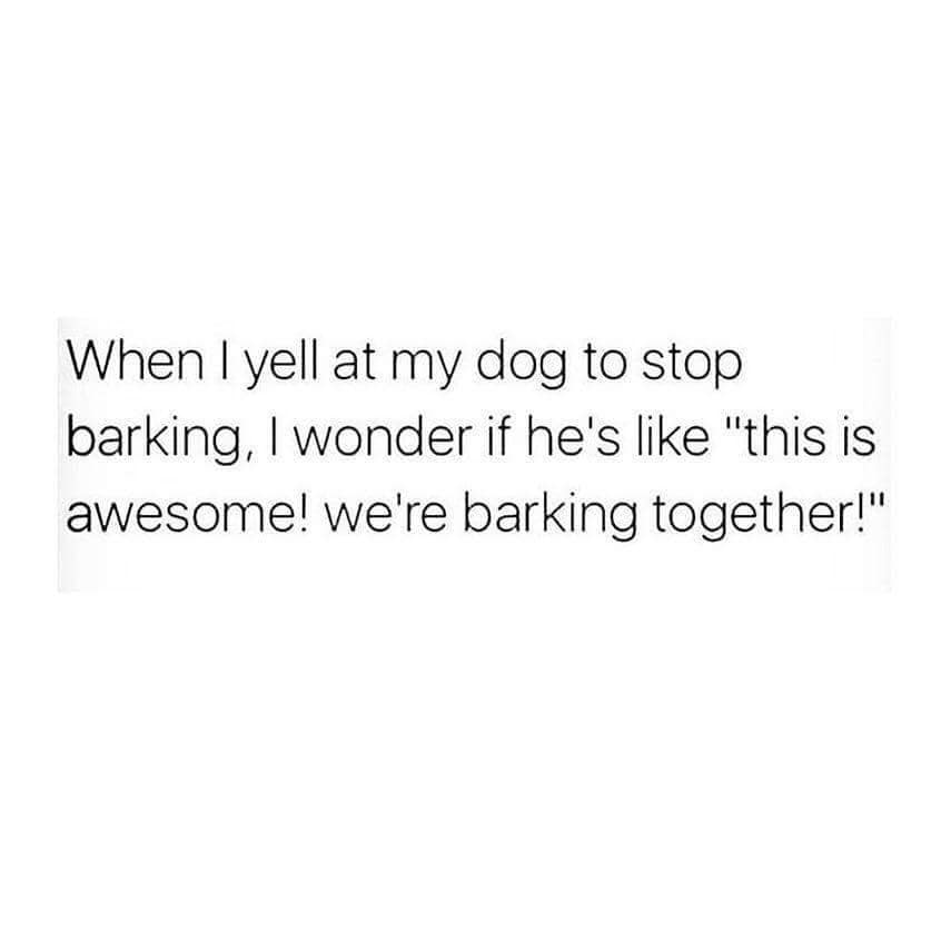 classic memes, vintage memes, viral tweets, Epic Tweets, Legendary Tweets, Funny Throwbacks, Hilarious Nostalgia, Amusing Internet History, Timeless Online Humor, Classic Internet Jokes, Iconic Meme References