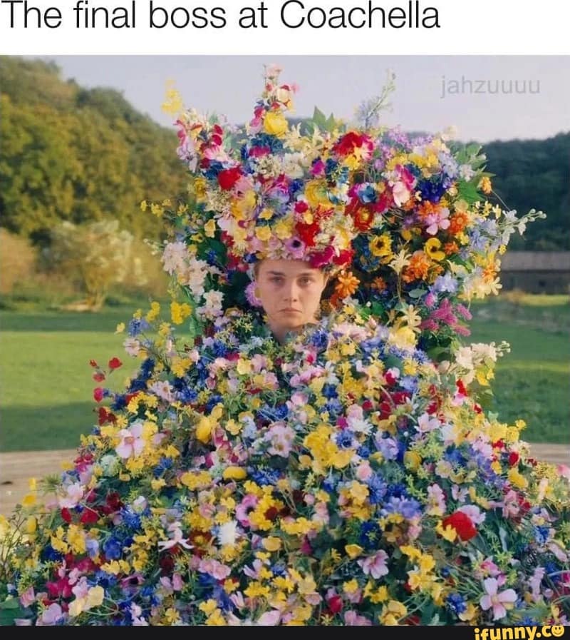 coachella 2024 memes, coachella memes 2024, coachella memes, coachella 2024, Coachella jokes, music festival humor, funny festival memes