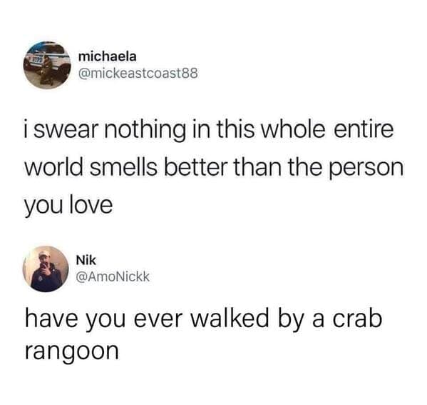 crab rangoon memes, rab Rangoon Lover, Deep-Fried Dreams, Cream Cheese Craving, Wontons of Joy, Deep-Fried Delights, Crispy Perfection