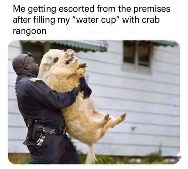 crab rangoon memes, rab Rangoon Lover, Deep-Fried Dreams, Cream Cheese Craving, Wontons of Joy, Deep-Fried Delights, Crispy Perfection