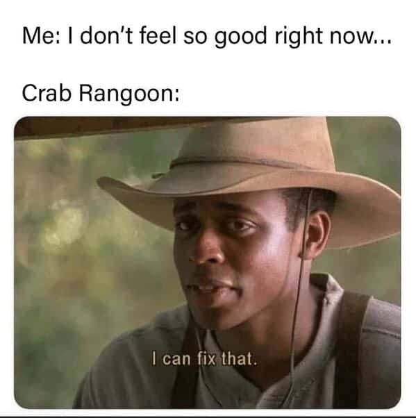 crab rangoon memes, rab Rangoon Lover, Deep-Fried Dreams, Cream Cheese Craving, Wontons of Joy, Deep-Fried Delights, Crispy Perfection