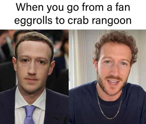 crab rangoon memes, rab Rangoon Lover, Deep-Fried Dreams, Cream Cheese Craving, Wontons of Joy, Deep-Fried Delights, Crispy Perfection