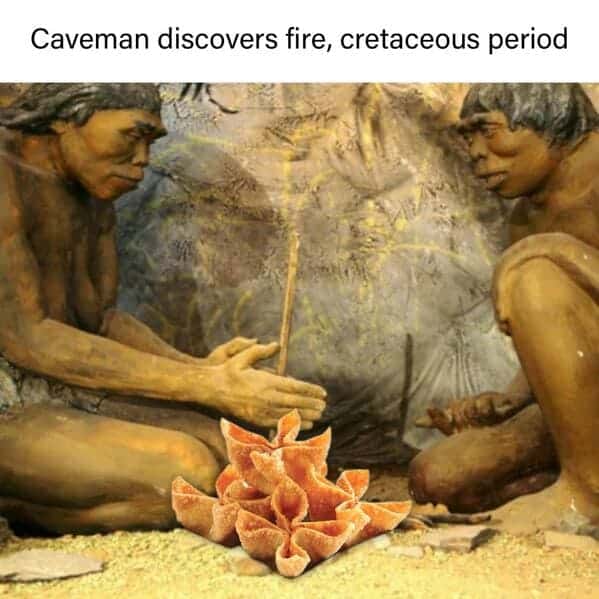 crab rangoon memes, rab Rangoon Lover, Deep-Fried Dreams, Cream Cheese Craving, Wontons of Joy, Deep-Fried Delights, Crispy Perfection