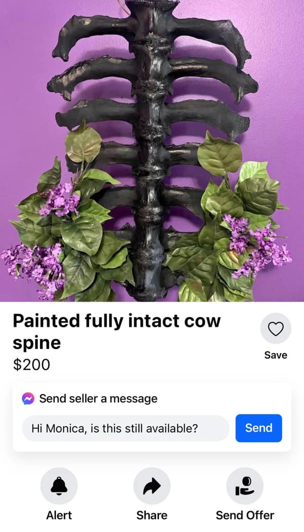 cursed images, weird photos, surreal encounters, uncanny anomalies, eerie pictures, unsettling visuals, inexplicable images