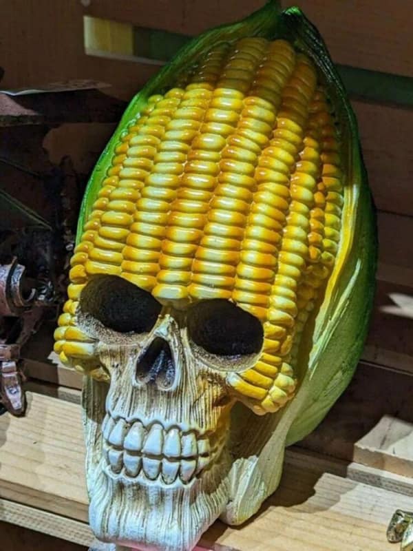cursed images, weird photos, surreal encounters, uncanny anomalies, eerie pictures, unsettling visuals, inexplicable images