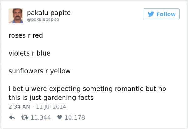 roses r red violets r blue sunflowers r yellow i bet u were expecting someting romantic but no this is just gardening facts
