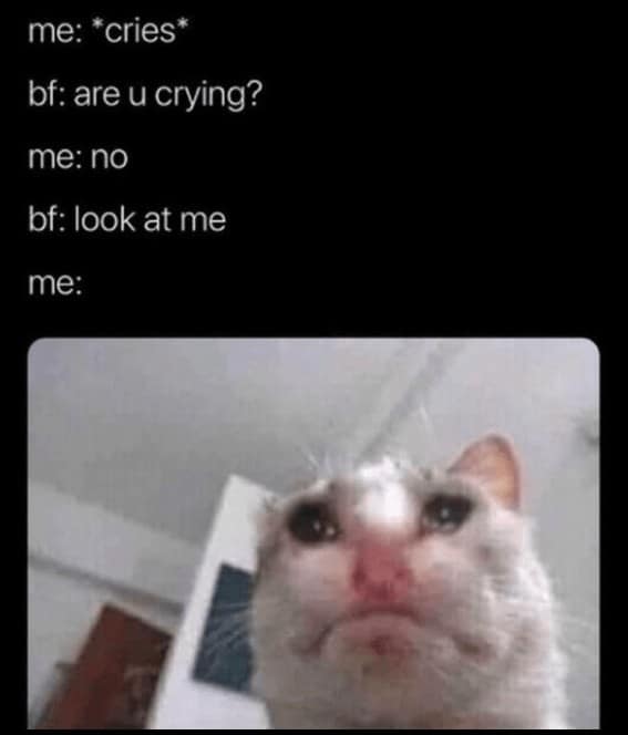 flirty memes, dirty memes, sexy memes, sex memes, kinky memes