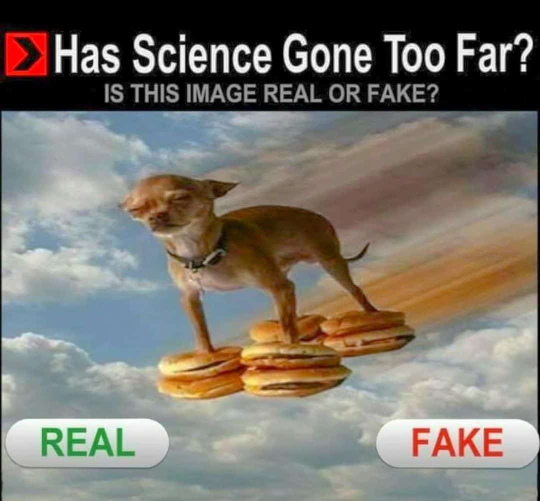 food memes, cursed food images, cursed foods, bizarre food combinations, foodie humor, relatable food memes