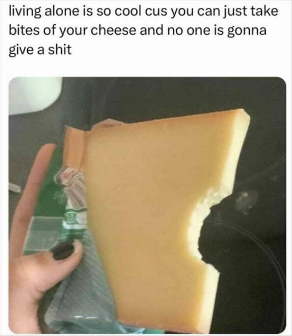 living alone is so cool cus you can just take bites of your cheese and no one is gonna give a