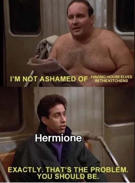 I'M NOT ASHAMED OF HAVING HOUSE ELVES IN THE KITCHENS Hermione EXACTLY. THAT'S THE PROBLEM. YOU SHOULD BE.