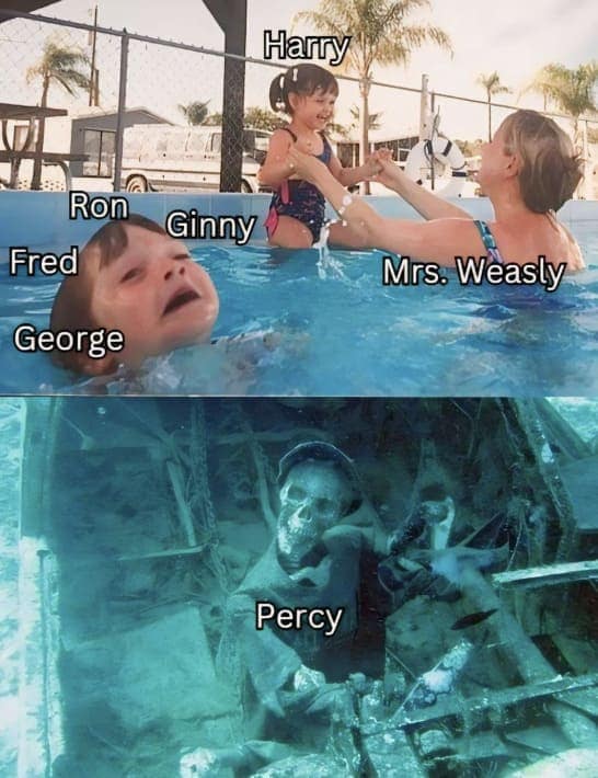Harry Ginny Percy