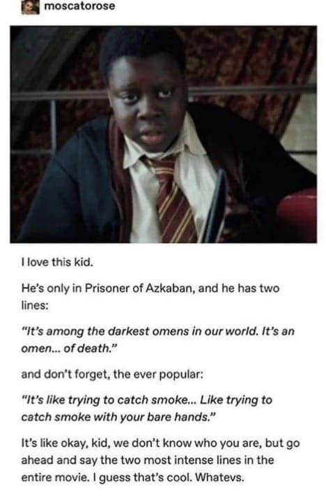 I love this kid. He's only in Prisoner of Azkaban, and he has two lines: "It's among the darkest omens in our world. It's an omen... of death." and don't forget, the ever popular: "It's like trying to catch smoke... Like trying to catch smoke with your bare hands." It's like okay, kid, we don't know who you are, but go ahead and say the two most intense lines in the entire movie. I guess that's cool. Whatevs.
