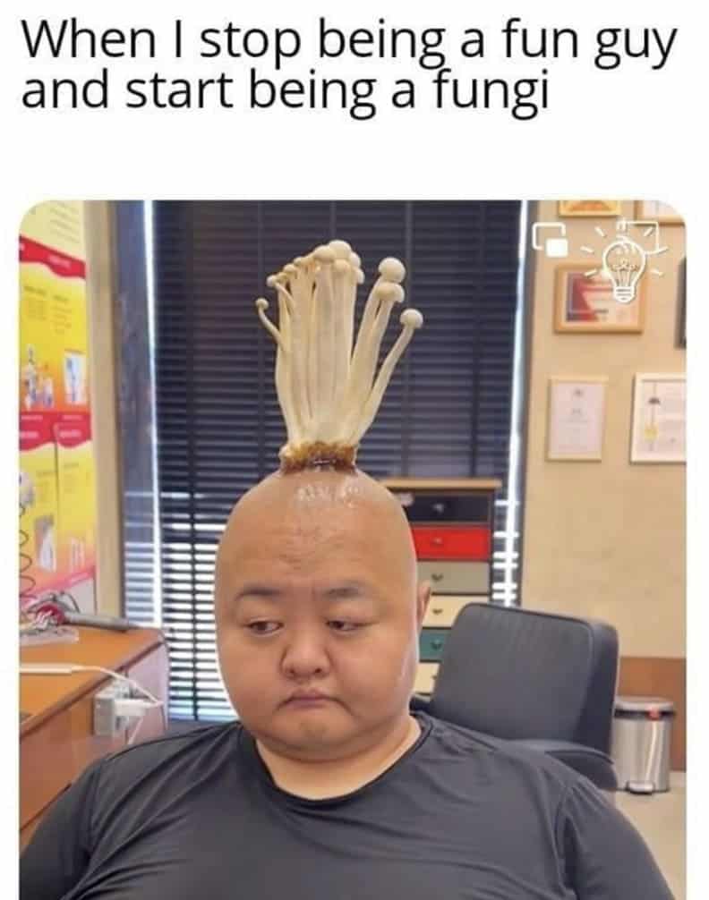 When I stop being a fun guy and start being a fungi
