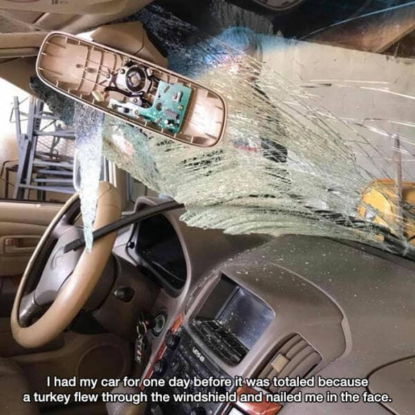 I had my car for one day before it was totaled because a turkey flew through the windshield and nailed me in the face.