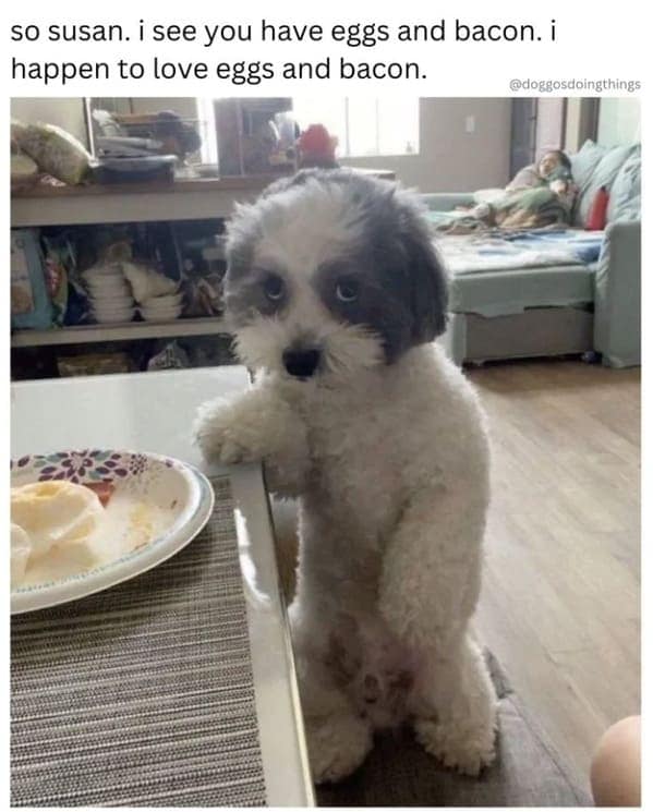 so susan. i see you have eggs and bacon. i happen to love eggs and bacon.