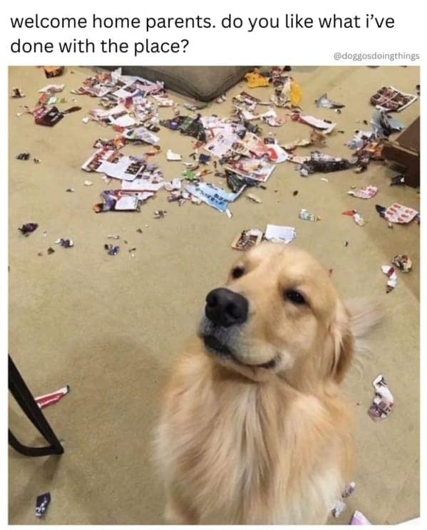 welcome home parents. do you like what ive done with the place?