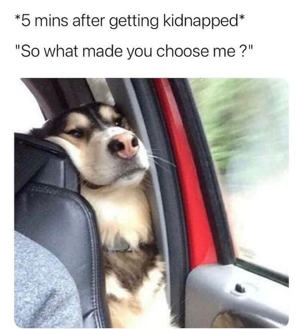 *5 mins after getting kidnapped* "So what made you choose me ?"