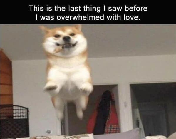 This is the last thing I saw before I was overwhelmed with love.