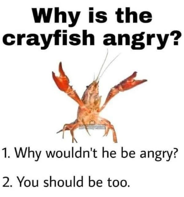 Why is the crayfish angry? 1. Why wouldn't he be angry? 2. You should be too.