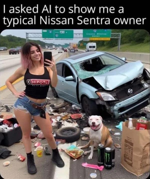 I asked Al to show me a typical Nissan Sentra owner