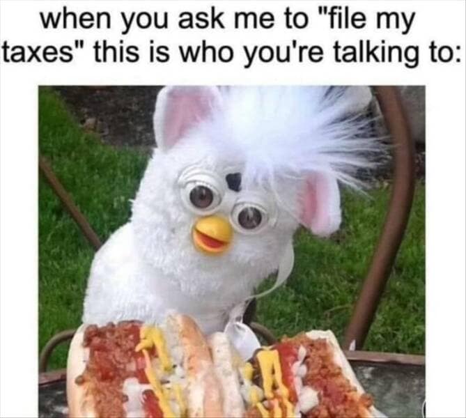when you ask me to "file my taxes" this is who you're talking to:
