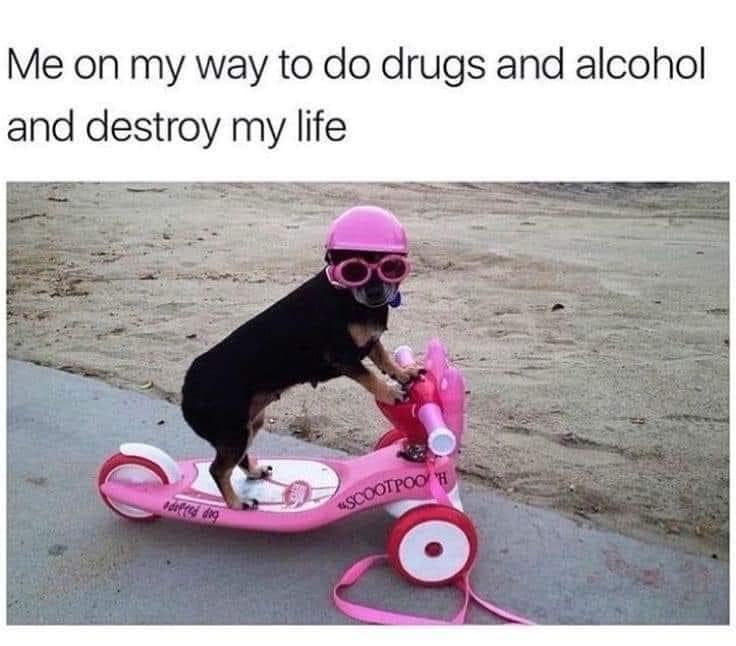 Me on my way to do drugs and alcohol and destroy my life