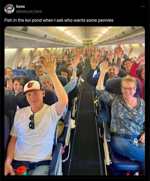 Fish in the koi pond when I ask who wants some pennies