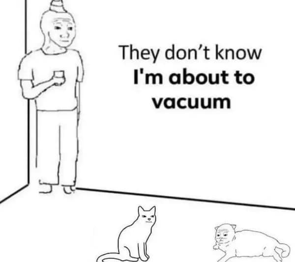 They don't know I'm about to vacuum