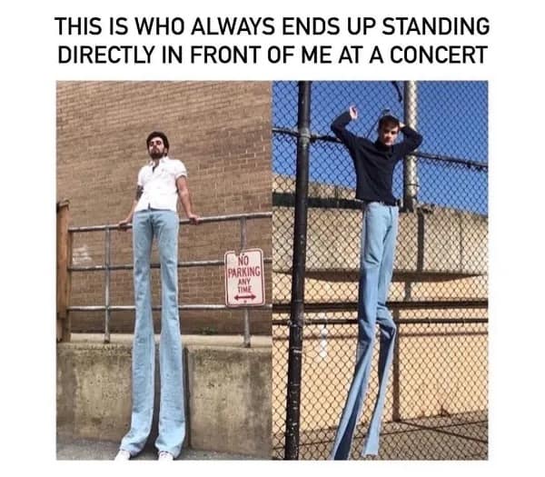 THIS IS WHO ALWAYS ENDS UP STANDING DIRECTLY IN FRONT OF ME AT A CONCERT