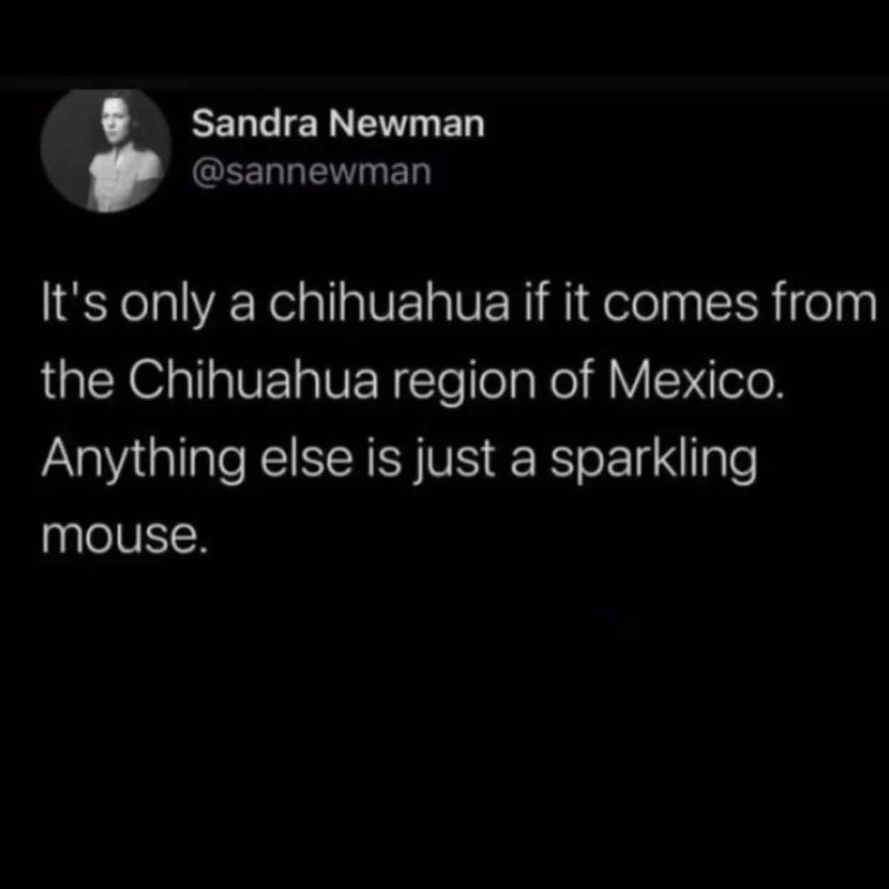 It's only a chihuahua if it comes from the Chihuahua region of Mexico. Anything else is just a sparkling mouse.