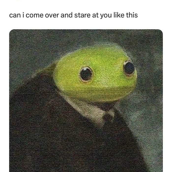 can i come over and stare at you like this