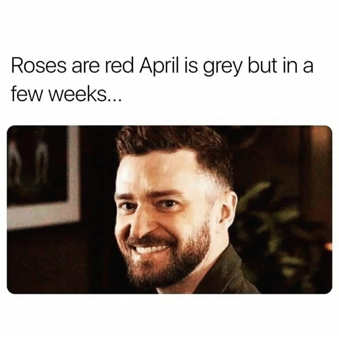 Roses are red April is grey but in a few weeks...