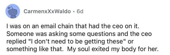 I was on an email chain that had the ceo on it. Someone was asking some questions and the ceo replied "I don't need to be getting these" or something like that. My soul exited my body for her.