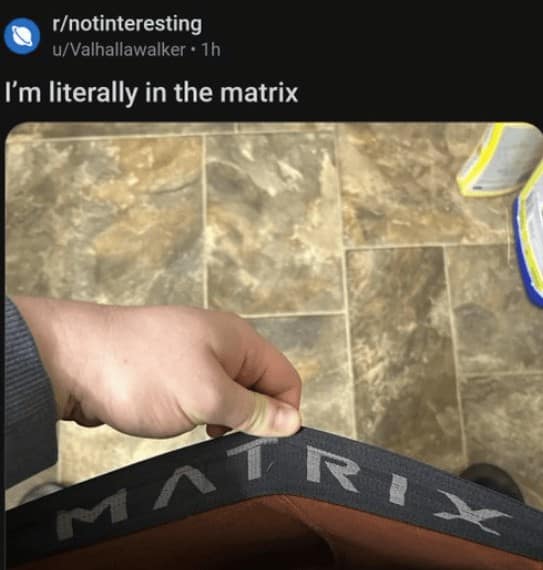 funny reddit posts, funny reddits, Hilarious Reddit content, Weird Reddit, Reddit finds