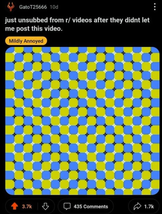 funny reddit posts, Weird Reddit Posts, Hilarious Online Communities, Unexpected Internet Humor, Strange Online Content, Bizarre Web Finds, Peculiar Social Media