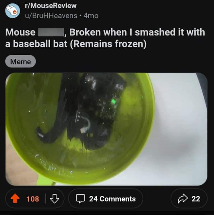 funny reddit posts, funny reddits, Hilarious Reddit content, Weird Reddit, Reddit finds