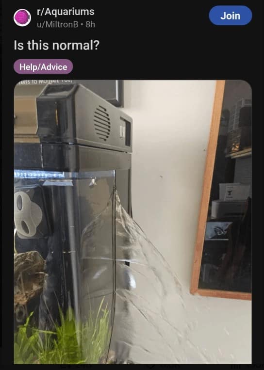 funny reddit posts, Weird Reddit Posts, Hilarious Online Communities, Unexpected Internet Humor, Strange Online Content, Bizarre Web Finds, Peculiar Social Media