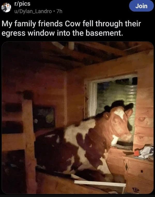 funny reddit posts, funny reddits, Hilarious Reddit content, Weird Reddit, Reddit finds