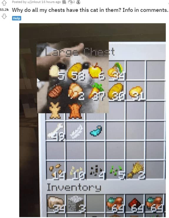 funny reddit posts, funny reddits, Hilarious Reddit content, Weird Reddit, Reddit finds