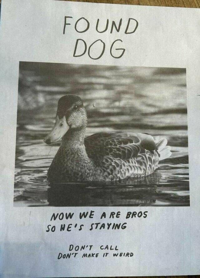 funny signs, Hilarious Signs, Witty Signs, Weird Signs, Humorous Signage, Clever Signs, Bizarre Signage