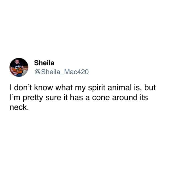 funny tweets, trending tweets, hilarious tweets, humor on Twitter, Twitter trends, side-splitting tweets, comical tweets, witty Twitter posts