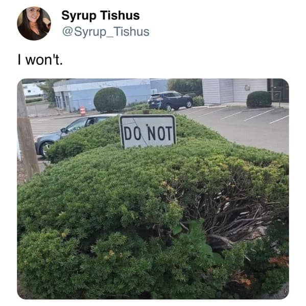 funny tweets, trending tweets, hilarious tweets, humor on Twitter, Twitter trends, side-splitting tweets, comical tweets, witty Twitter posts