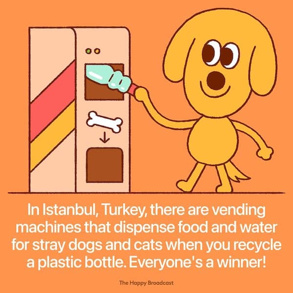 In Istanbul, Turkey, there are vending machines that dispense food and water for stray dogs and cats when you recycle a plastic bottle. Everyone's a winner!