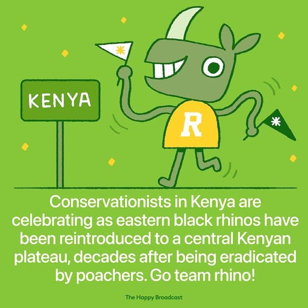 Conservationists in Kenya are celebrating as eastern black rhinos have been reintroduced to a central Kenyan plateau, decades after being eradicated by poachers. Go team rhino!